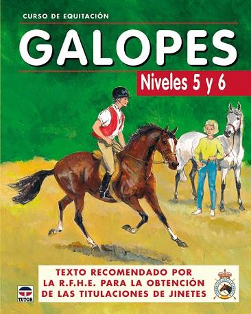 GALOPES NIVELES 5 Y 6 3ªED | 9788479025625 | VARIOS | Llibreria L'Illa - Llibreria Online de Mollet - Comprar llibres online