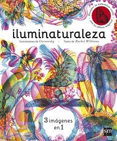 ILUMINATURALEZA | 9788467589955 | WILLIAMS, RACHEL | Llibreria L'Illa - Llibreria Online de Mollet - Comprar llibres online