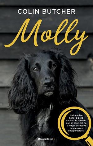 MOLLY | 9788417541033 | BUTCHER, COLIN | Llibreria L'Illa - Llibreria Online de Mollet - Comprar llibres online