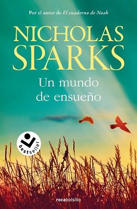 MUNDO DE ENSUEÑO, UN | 9788419498311 | SPARKS, NICHOLAS | Llibreria L'Illa - Llibreria Online de Mollet - Comprar llibres online