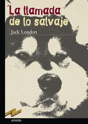 LLAMADA DE LO SALVAJE, LA | 9788466715638 | LONDON, JACK | Llibreria L'Illa - Llibreria Online de Mollet - Comprar llibres online