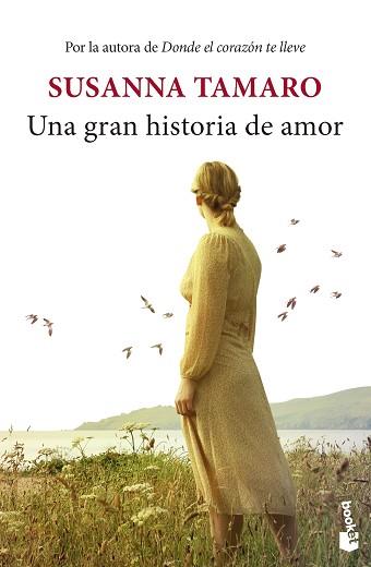 GRAN HISTORIA DE AMOR, UNA | 9788432242618 | TAMARO, SUSANNA | Llibreria L'Illa - Llibreria Online de Mollet - Comprar llibres online