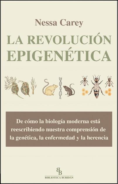 REVOLUCIÓN EPIGENÉTICA, LA | 9788415216230 | CAREY, NESSA | Llibreria L'Illa - Llibreria Online de Mollet - Comprar llibres online