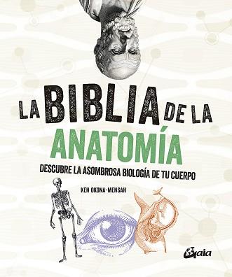 BIBLIA DE LA ANATOMÍA, LA | 9788484459521 | OKONA-MENSAH, KEN | Llibreria L'Illa - Llibreria Online de Mollet - Comprar llibres online