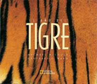 AÑO DEL TIGRE, EL | 9788482981987 | Llibreria L'Illa - Llibreria Online de Mollet - Comprar llibres online