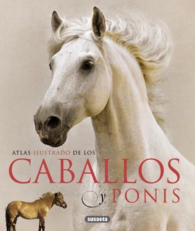 CABALLOS Y PONIS | 9788467713053 | LABAN, BRIAN | Llibreria L'Illa - Llibreria Online de Mollet - Comprar llibres online