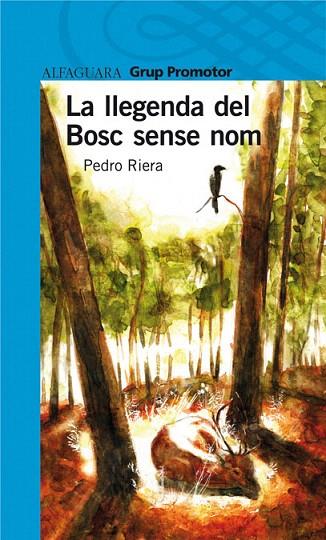 LLEGENDA DEL BOSC SENSE NOM, LA | 9788479183561 | RIERA, PEDRO | Llibreria L'Illa - Llibreria Online de Mollet - Comprar llibres online