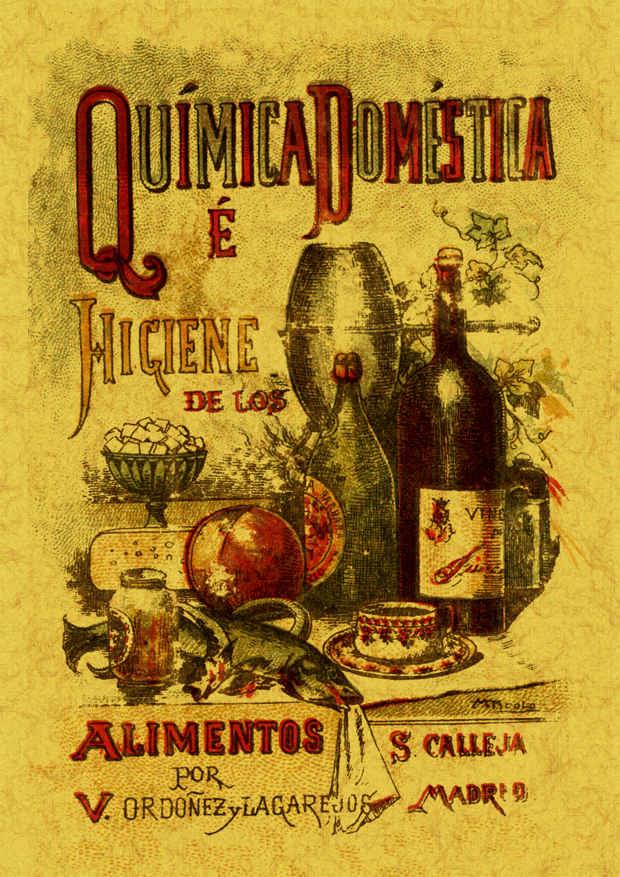 QUIMICA DOMESTICA | 9788497616478 | ORDOÑEZ LAGAREJOS, VALERIANO | Llibreria L'Illa - Llibreria Online de Mollet - Comprar llibres online