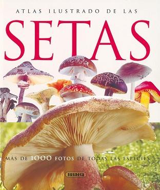 ATLAS ILUSTRADO DE LAS SETAS | 9788430547210 | Llibreria L'Illa - Llibreria Online de Mollet - Comprar llibres online