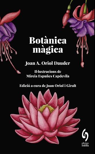 BOTÀNICA MÀGICA | 9788412730876 | ORIOL DAUDER, JOAN ANTON | Llibreria L'Illa - Llibreria Online de Mollet - Comprar llibres online