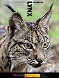 LYNX EN LA TIERRA DEL LINCE IBERICO | 9788449114205 | CANELA URIZAR, ANDONI | Llibreria L'Illa - Llibreria Online de Mollet - Comprar llibres online