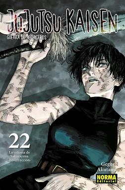 JUJUTSU KAISEN 22 | 9788467962000 | AKUTAMI, GEGE | Llibreria L'Illa - Llibreria Online de Mollet - Comprar llibres online