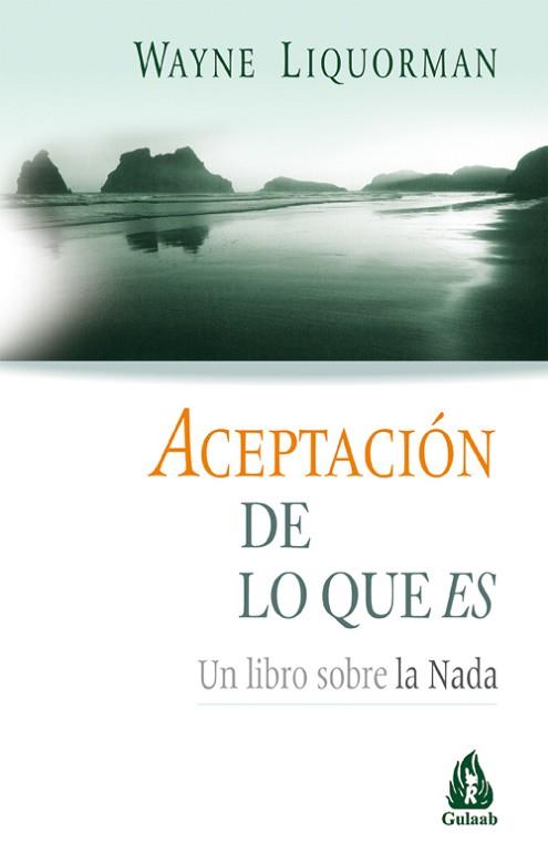 ACEPTACION DE LO QUE ES  UN LIBRO SOBRE LA NADA | 9788486797966 | LIQUORMAN, WAYNE | Llibreria L'Illa - Llibreria Online de Mollet - Comprar llibres online