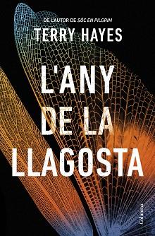 ANY DE LA LLAGOSTA, L' | 9788466432153 | HAYES, TERRY | Llibreria L'Illa - Llibreria Online de Mollet - Comprar llibres online