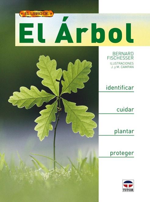 EL ARBOL 1ª ED | 9788479027834 | FISCHESSER BERNARD | Llibreria L'Illa - Llibreria Online de Mollet - Comprar llibres online