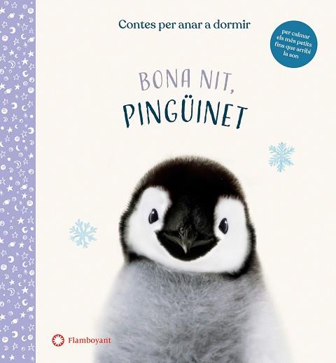 BONA NIT PINGÜINET | 9788417749972 | WOOD, AMANDA | Llibreria L'Illa - Llibreria Online de Mollet - Comprar llibres online