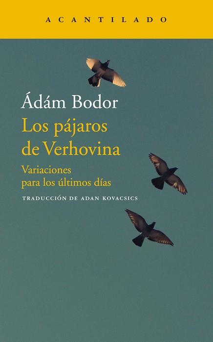 PÁJAROS DE VERHOVINA, LOS | 9788417346706 | BODOR, ADAM | Llibreria L'Illa - Llibreria Online de Mollet - Comprar llibres online