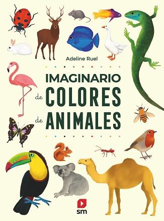 IMAGINARIO DE COLORES DE ANIMALES | 9788413188546 | RUEL, ADELINE | Llibreria L'Illa - Llibreria Online de Mollet - Comprar llibres online