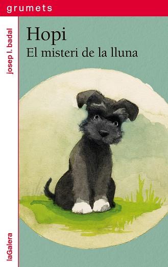 HOPI 1. EL MISTERI DE LA LLUNA | 9788424675271 | BADAL, JOSEP LL | Llibreria L'Illa - Llibreria Online de Mollet - Comprar llibres online