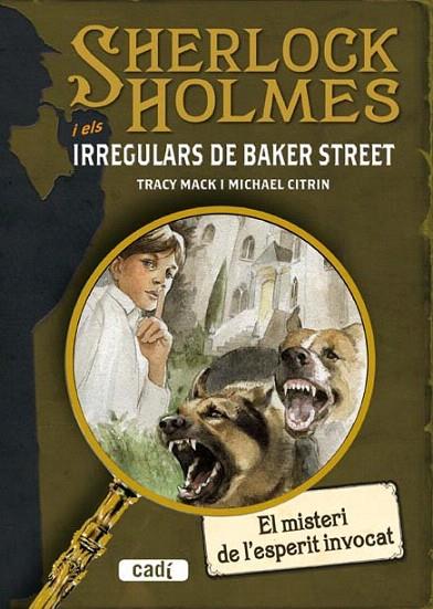 SHERLOCK HOLMES I ELS IRREGULARS DE BAKER STEET | 9788447411658 | MICHAEL CITRIN/TRACY MACK | Llibreria L'Illa - Llibreria Online de Mollet - Comprar llibres online