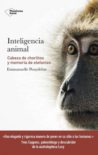 INTELIGENCIA ANIMAL | 9788417114947 | POUYDEBAT, EMMANUELLE | Llibreria L'Illa - Llibreria Online de Mollet - Comprar llibres online