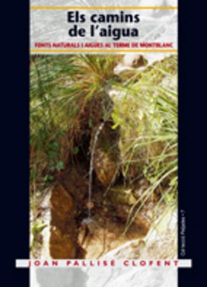 CAMINS DE L'AIGUA, ELS | 9788497912068 | PALLISÉ CLOFENT, JOAN | Llibreria L'Illa - Llibreria Online de Mollet - Comprar llibres online