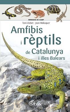 AMFIBIS I RÈPTILS DE CATALUNYA I ILLES BALEARS | 9788490346792 | LLOBET FRANÇOIS , TONI/MALUQUER MARGALEF, JOAN | Llibreria L'Illa - Llibreria Online de Mollet - Comprar llibres online