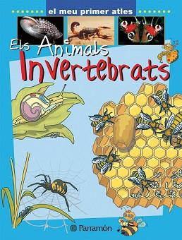 ANIMALS INVERTEBRATS, ELS | 9788434227149 | Llibreria L'Illa - Llibreria Online de Mollet - Comprar llibres online