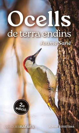 OCELLS DE TERRA ENDINS | 9788413563725 | SAÑÉ, JAUME | Llibreria L'Illa - Llibreria Online de Mollet - Comprar llibres online