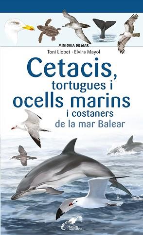 CETACIS TORTUGUES I OCELLS MARINS I COSTANERS DE LA MAR BALEAR | 9788413562735 | MAYOL, ELVIRA | Llibreria L'Illa - Llibreria Online de Mollet - Comprar llibres online