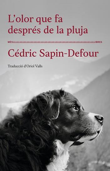 OLOR QUE FA DESPRÉS DE LA PLUJA, L' | 9788417353568 | CÉDRIC SAPIN-DEFOUR | Llibreria L'Illa - Llibreria Online de Mollet - Comprar llibres online