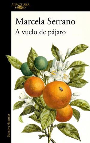 A VUELO DE PÁJARO | 9788420477978 | SERRANO, MARCELA | Llibreria L'Illa - Llibreria Online de Mollet - Comprar llibres online