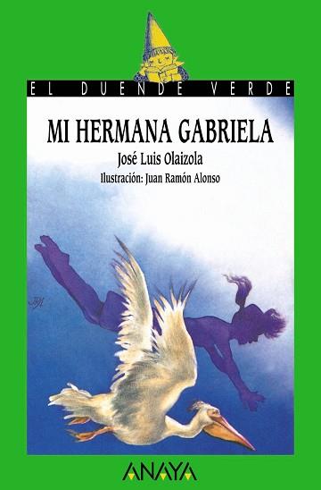 MI HERMANA GABRIELA | 9788420730653 | OLAIZOLA, JOSE LUIS | Llibreria L'Illa - Llibreria Online de Mollet - Comprar llibres online