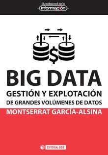 BIG DATA | 9788491162513 | GARCÍA ALSINA, MONTSERRAT