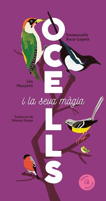 OCELLS | 9788419794376 | KECIR-LEPETIT, EMMANUELLE | Llibreria L'Illa - Llibreria Online de Mollet - Comprar llibres online