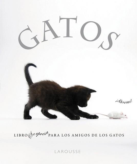 GATOS | 9788480169349 | Llibreria L'Illa - Llibreria Online de Mollet - Comprar llibres online