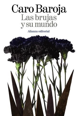 BRUJAS Y SU MUNDO, LAS | 9788420698007 | CARO BAROJA, JULIO | Llibreria L'Illa - Llibreria Online de Mollet - Comprar llibres online