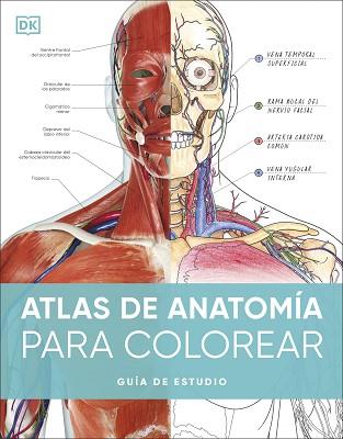 ATLAS DE ANATOMÍA PARA COLOREAR | 9780241703090 | DK | Llibreria L'Illa - Llibreria Online de Mollet - Comprar llibres online