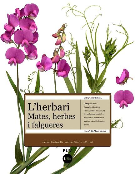 HERBARI, L´ -MATES HERBES I FALGUERES- | 9788447531905 | LLISTOSELLA, JAUME/SÀNCHEZ-CUX | Llibreria L'Illa - Llibreria Online de Mollet - Comprar llibres online