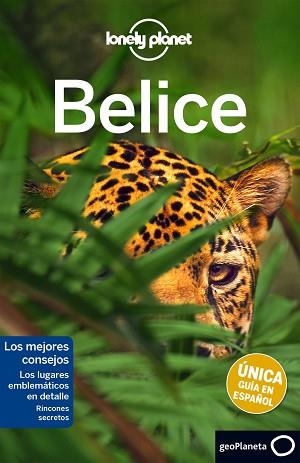 BELICE  | 9788408163923 | ALEX EGERTON/PAUL HARDING/DANIEL C. SCHECHTER | Llibreria L'Illa - Llibreria Online de Mollet - Comprar llibres online