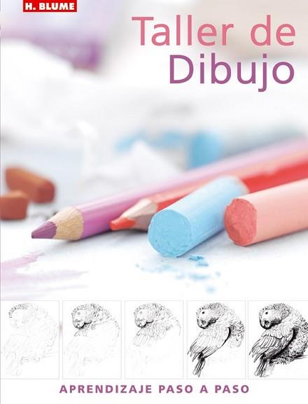 TALLER DE DIBUJO | 9788496669031 | WATSON, LUCY | Llibreria L'Illa - Llibreria Online de Mollet - Comprar llibres online