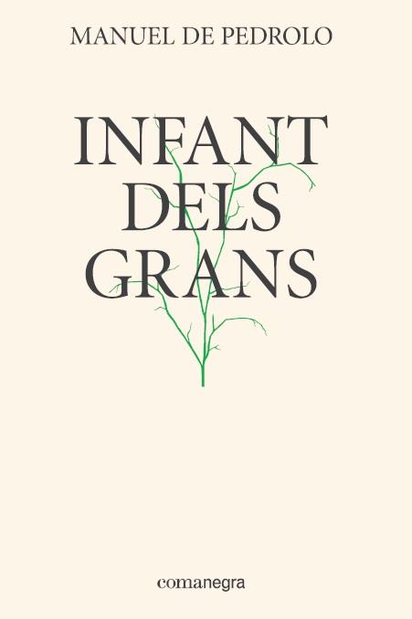 INFANT DELS GRANS | 9788417188337 | PEDROLO I MOLINA, MANUEL DE | Llibreria L'Illa - Llibreria Online de Mollet - Comprar llibres online