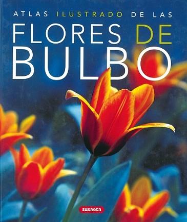 ATLAS ILUSTRADO DE LAS FLORES DE BULBO | 9788430570324 | ODDONE, CARLO | Llibreria L'Illa - Llibreria Online de Mollet - Comprar llibres online