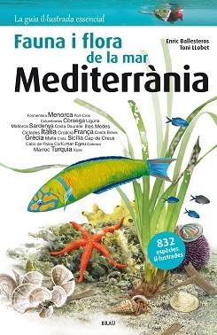 FLORA I FAUNA DE LA MAR MEDITERRÀNIA | 9788415885979 | BALLESTEROS SAGARRA, ENRIC | Llibreria L'Illa - Llibreria Online de Mollet - Comprar llibres online