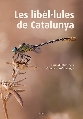 LIBEL·LULES DE CATALUNYA | 9788415885467 | GRUP D'ESTUDIS DELS ODONATS DE CATALUNYA | Llibreria L'Illa - Llibreria Online de Mollet - Comprar llibres online