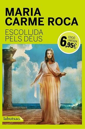 ESCOLLIDA PELS DÉUS | 9788499309767 | ROCA, MARIA CARME | Llibreria L'Illa - Llibreria Online de Mollet - Comprar llibres online