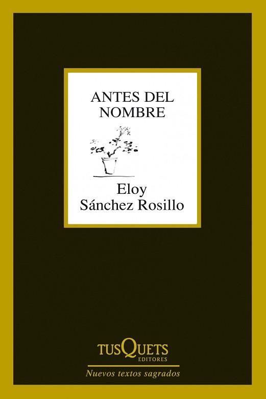 ANTES DEL NOMBRE | 9788483834619 | SÁNCHEZ ROSILLO, ELOY | Llibreria L'Illa - Llibreria Online de Mollet - Comprar llibres online