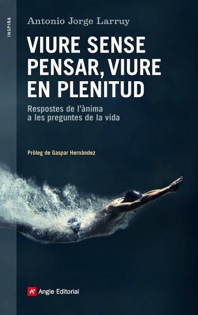 VIURE SENSE PENSAR VIURE EN PLENITUD | 9788416139231 | JORGE LARRUY, ANTONIO/HERNÁNDEZ, GASPAR | Llibreria L'Illa - Llibreria Online de Mollet - Comprar llibres online