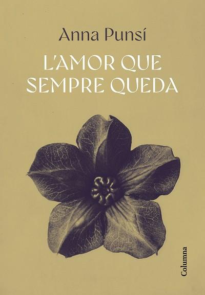 AMOR QUE SEMPRE QUEDA, L' | 9788466432382 | PUNSÍ LLADÓ, ANNA | Llibreria L'Illa - Llibreria Online de Mollet - Comprar llibres online