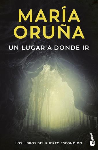 LUGAR A DONDE IR, UN | 9788423366620 | ORUÑA, MARÍA | Llibreria L'Illa - Llibreria Online de Mollet - Comprar llibres online